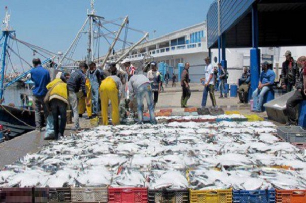 الكميات المفرغة من المنتجات المسوقة من الصيد الساحلي والتقليدي تتجاوز 1,5 مليون طن خلال سنة 2022