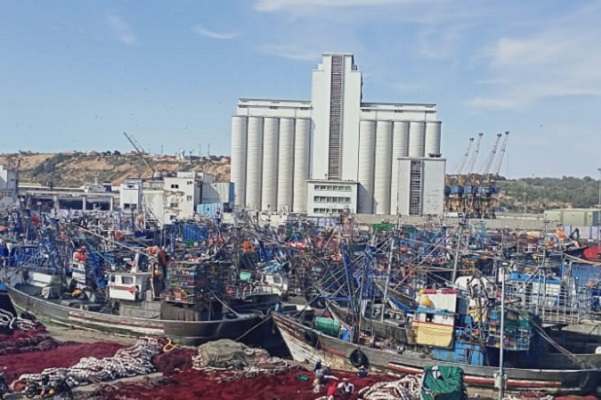 انخفاض ملحوظ في الكميات المفرغة من منتوجات الصيد الساحلي والتقليدي