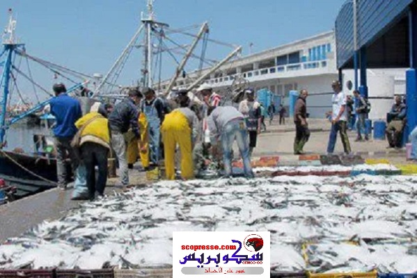 تراجع كبير في الكميات المفرغة من منتجات الصيد الساحلي والتقليدي بميناء العيون