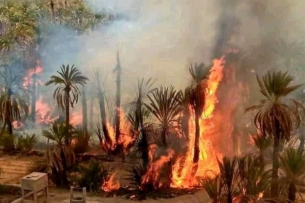 حرائق واحات إقليم طاطا تصل الى قبة البرلمان والمطالبة باستفادة مالكيها من تعويضات صندوق الكوارث الطبيعية