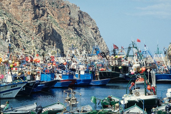 تراجع كبير في نسبة كمية منتجات الصيد البحري المفرغة بموانئ وقرى الصيادين بالسواحل المتوسطية 