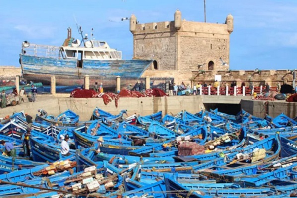 الصويرة / انخفاض في الكميات المفرغة من منتجات الصيد الساحلي والتقليدي 