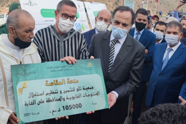 تزينيت / عرض  برنامج عمل تسوية الملفات العقارية المرتبطة بتحديد الملك الغابوي بالإقليم‎