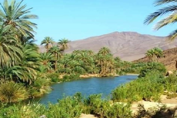 كلميم / نحو إحداث مشروع لاستغلال مخلفات الصرف الصحي في مجال الطاقات المتجددة بتاغجيجت