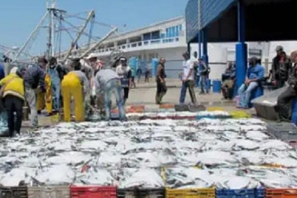 طانطان/ قيمة كمية الأسماك المفرغة بميناء الوطية تتجاوز 627 مليون درهم خلال الثلث الاول من السنة الجارية