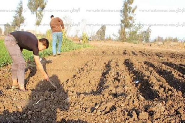 فلاحو الحسيمة يستغيثون في ظل شح التساقطات المطرية