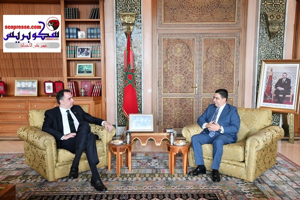 البرازيل تؤكد على ثبات موقفها من قضية الصحراء المغربية