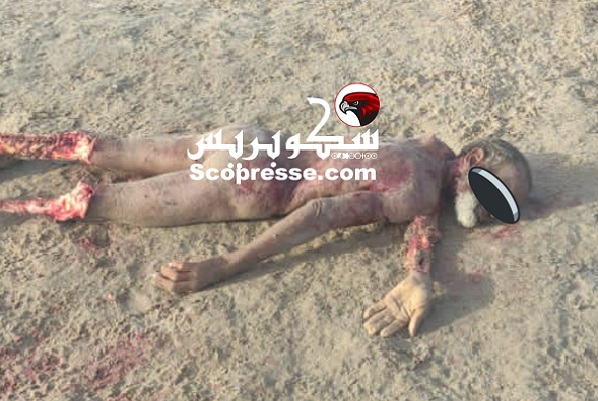 الداخلة / الكلاب الضالة تنهش جثة مسن مختل عقليا