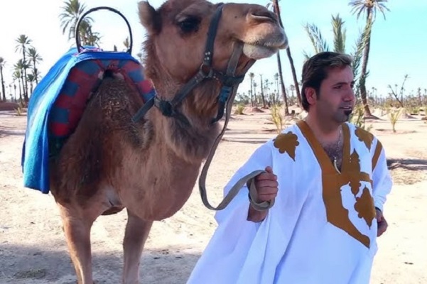 شادي رحال يصدر “حبيبي يا ملك” إهداءً للملك محمد السادس بمناسبة عيد العرش