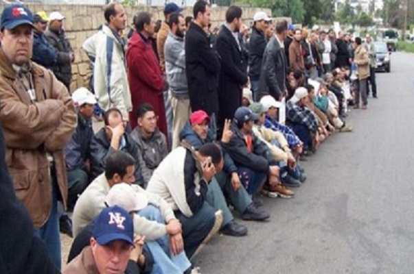 من منجزات حكومتنا الموقرة: ارتفاع نسبة البطالة لتقارب 14 بالمائة