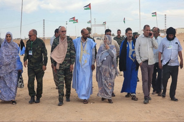 تركيب أجنحة الصقر على جسم الجرادة! .... هل البوليساريو دولة؟