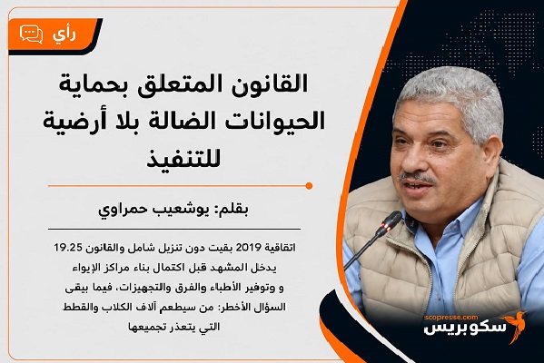 القانون المتعلق بحماية الحيوانات الضالة بلا أرضية للتنفيذ 