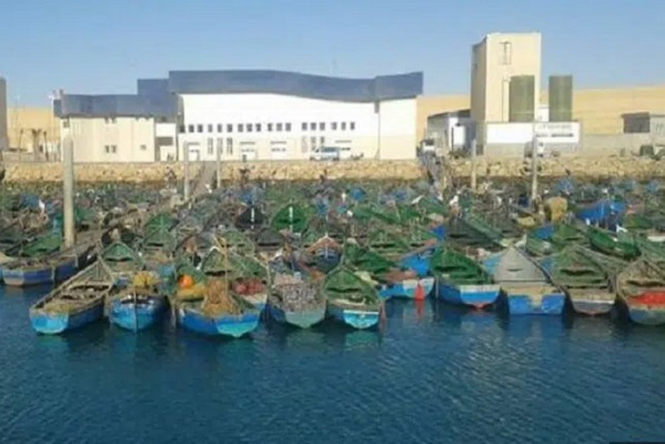 تراجع ملحوظ في كميات الأسماك المفرغة في ميناء بوجدور